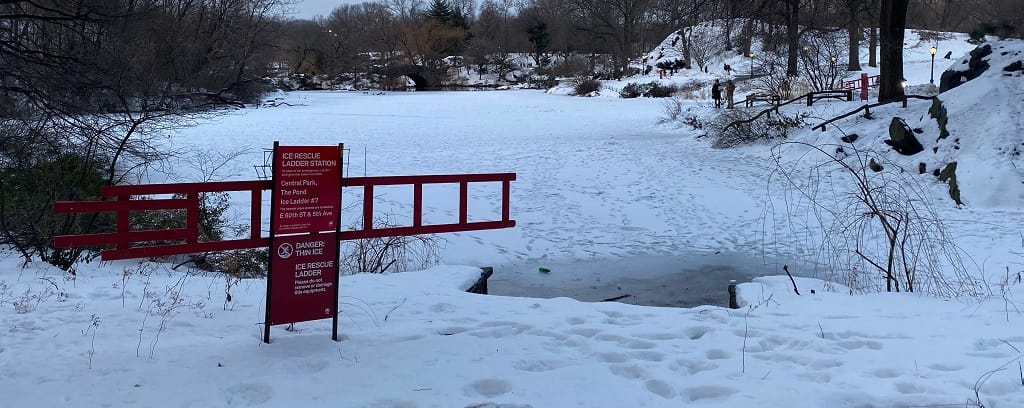Snow covered pond in NYC's Central Park with warning and rescue ladder
