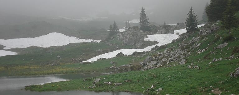 Photo of Snowy Swiss Alps