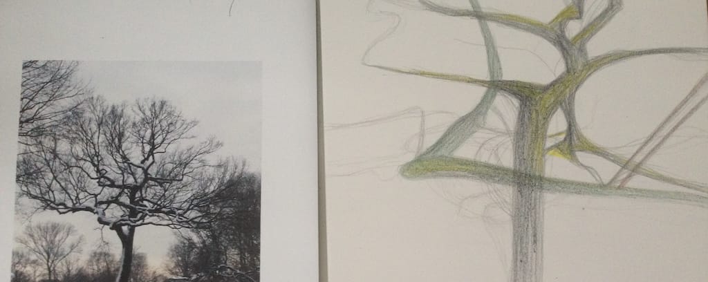 Photo of incomplete tree drawing from Central Park photo.