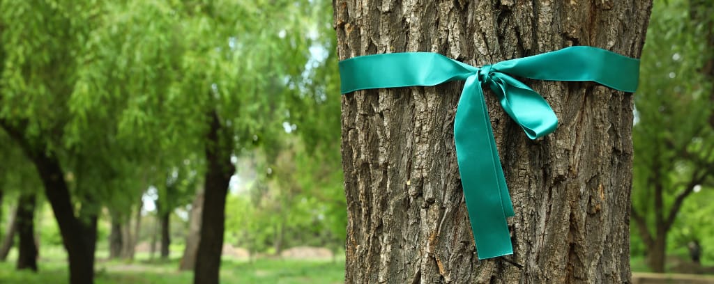 Photo of tree with teal ribbon tied around it.
