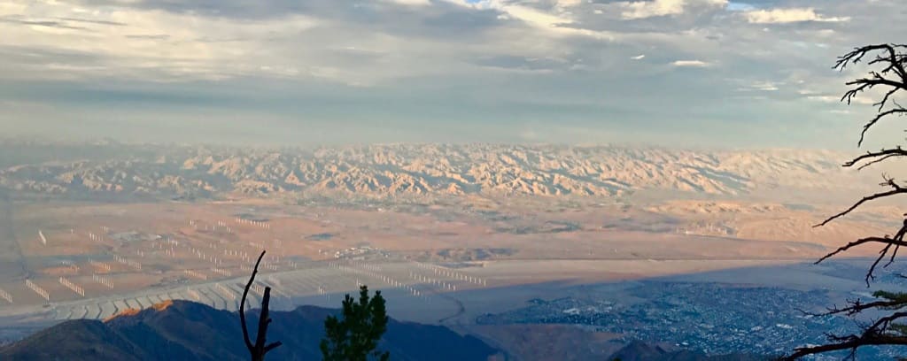 Photo of Palm Springs Landscape